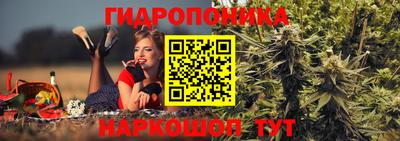 дживик Лесосибирск